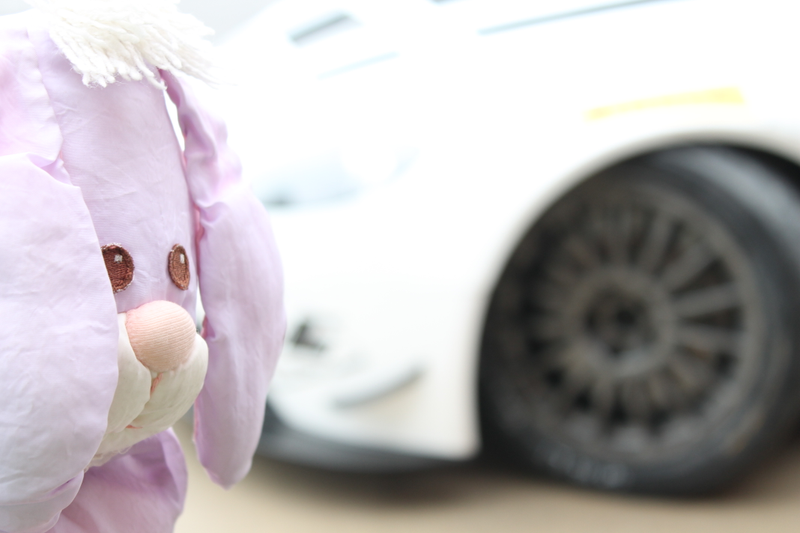 Illustration for article titled If All Else Fails, Blame Fluffy Bunny For Your Race Car's Problems